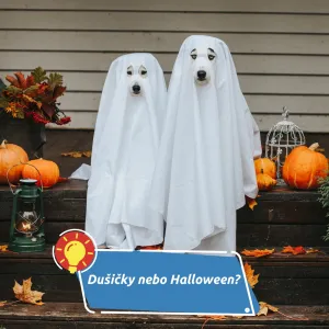 Dýně, svíčky a vzpomínky