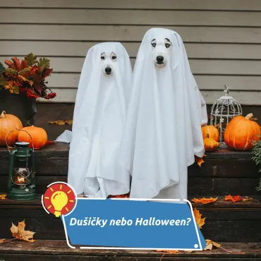 Dýně, svíčky a vzpomínky