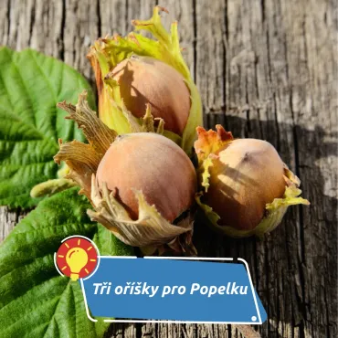 Příběh legendární vánoční pohádky