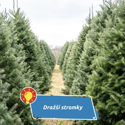 Pražský hrad otevírá své reprezentační prostory