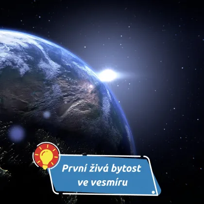 Příběh psí hrdinky, která se nikdy neměla vrátit