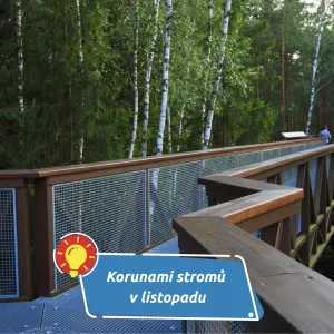 Podzimní procházka mezi korunami stromů v Krkonoších