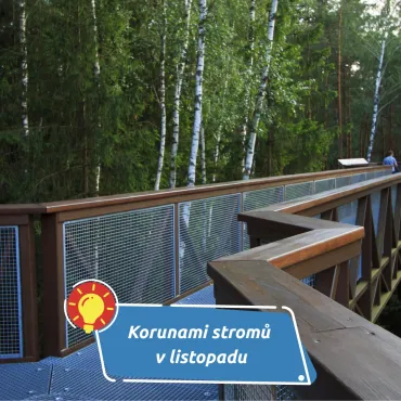 Podzimní procházka mezi korunami stromů v Krkonoších