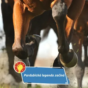 První dostih, který prověřil odvahu jezdců i koní