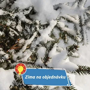 První umělý sníh se sypal už v 60. letech