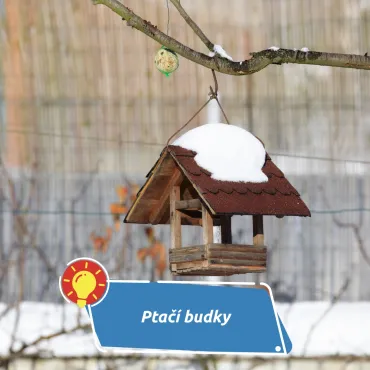 Proč právě teď vyvěsit ptačí budku?