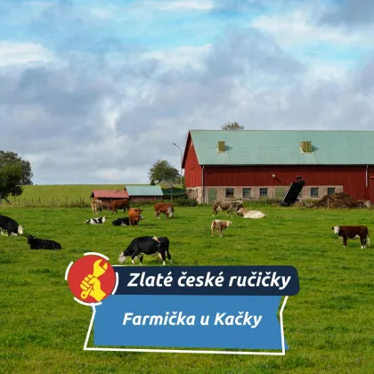 Farmička u Kačky: místo, kde vznikají poctivé sýry i pohlazení na duši
