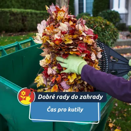 Zima přeje kutilům: BauMax láká na slevy, které vám usnadní každý projekt