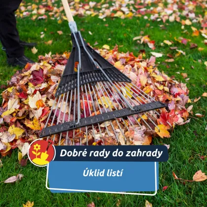 Listí jako podzimní poklad: kdy uklidit a kdy nechat zahradě