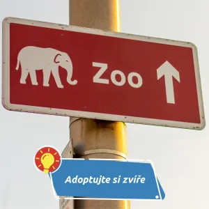 Staňte se adoptivním rodičem: zvířecí sirotci pražské zoo čekají na pomoc