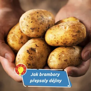 A nasytily kontinent