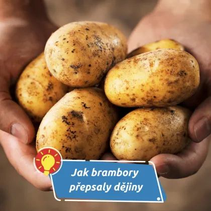 A nasytily kontinent