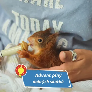 Vlašimská výzva, která hřeje v zimě i na duši