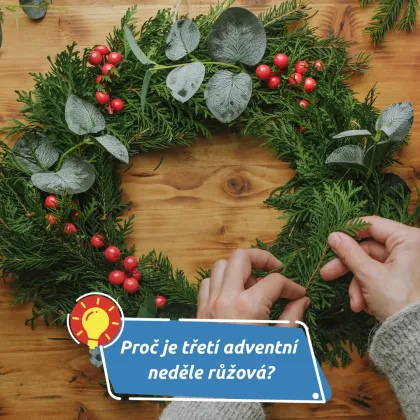 Proč je třetí adventní neděle růžová?