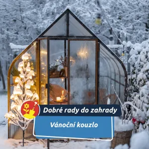 Advent na zahradě: výzdoba, která potěší vás i ptáčky