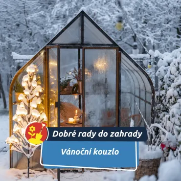 Advent na zahradě: výzdoba, která potěší vás i ptáčky