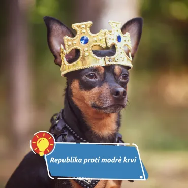 Aristokracie mezi minulostí a současností