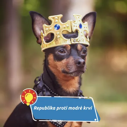 Aristokracie mezi minulostí a současností