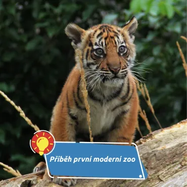 Jak vznikla první skutečná zoo na světě