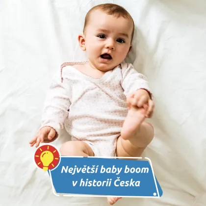 Nejplodnější roky české historie