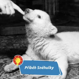 Světové prvenství pro pražskou ZOO