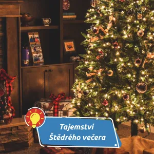 Štědrý den pod lupou historie