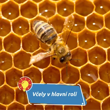 V Červeném Kostelci to bzučí už 127 let