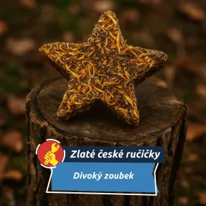 Michaela Bukovičová a dobroty, které mizí z misek králíků