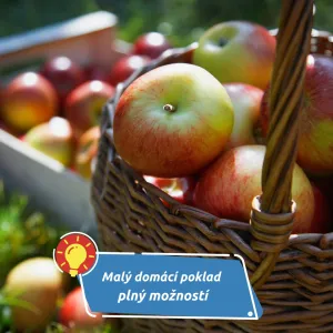 Jablka jako poklad z kuchyně. Co všechno se z nich dá doma vyrobit