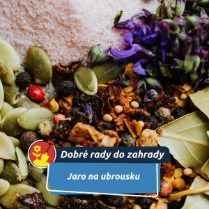 Lednový trik se semínky: zjistěte doma, co vyklíčí – a začněte s prvními výsevy