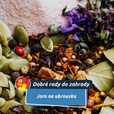 Lednový trik se semínky: zjistěte doma, co vyklíčí – a začněte s prvními výsevy