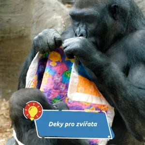 I zvířata se potřebují v mrazech přikrýt. Zoo Dvorec u Borovan shání deky