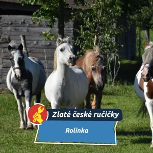 Koně v důchodu i zachráněné kočky