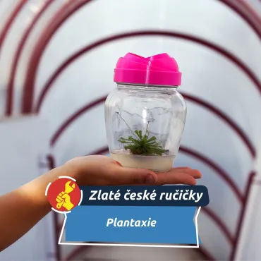 Kosmítka z Plantaxie: rostliny, které rostou samy