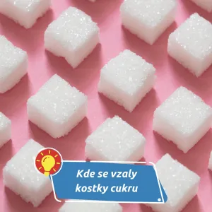 Zranění, které sladilo svět