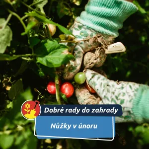 Únorový řez pod lupou