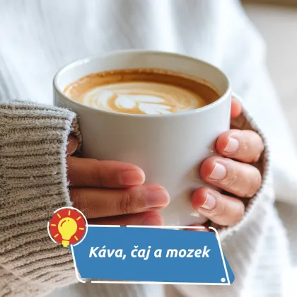 Dva až tři šálky denně pro lepší kondici mozku