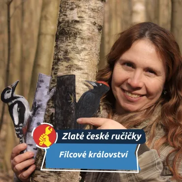 Filcové království z Mohelnice