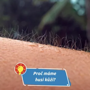 Malý signál velkých emocí