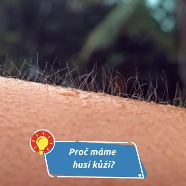 Malý signál velkých emocí