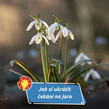 Zima umí být nekonečná