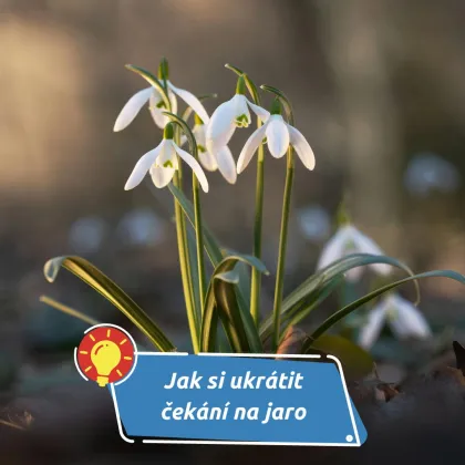 Zima umí být nekonečná