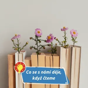 Co se s vámi děje, když čtete. Mozek miluje knihy víc, než si myslíte