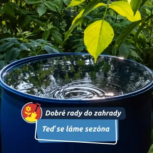 V březnu se rozhoduje o celé sezoně