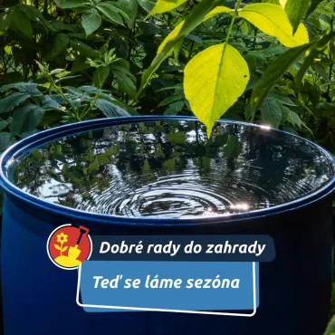 V březnu se rozhoduje o celé sezoně