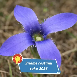 V nížinách pomalu mizí