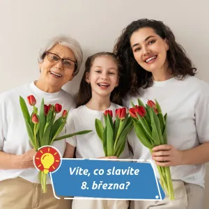 Politický megafon milionů žen