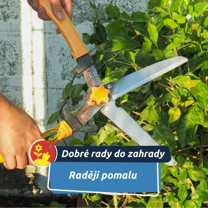 Nespěchejte na zahradu. Březen umí být zrádný