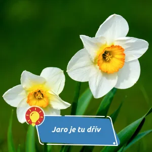 Co to znamená pro lidi, zvířata i přírodu