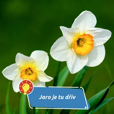 Co to znamená pro lidi, zvířata i přírodu